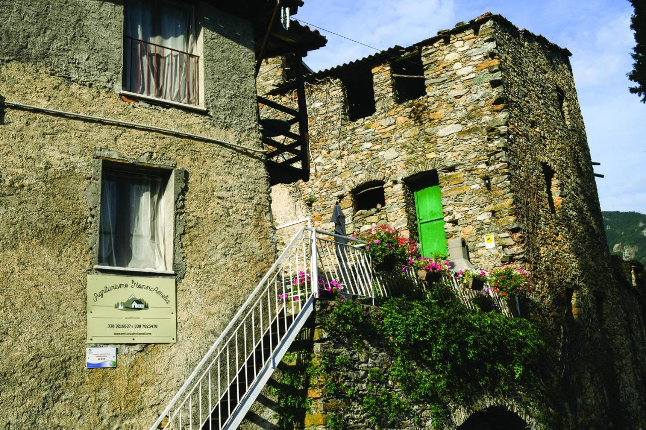 Agriturismo Nonnamelia Nasino Exterior photo