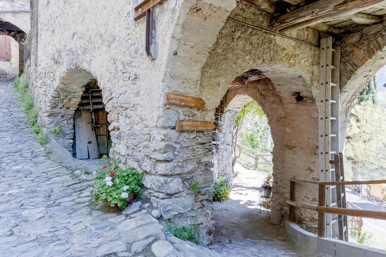 Agriturismo Nonnamelia Nasino Exterior photo